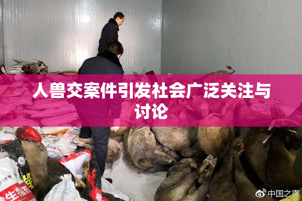人兽交案件引发社会广泛关注与讨论