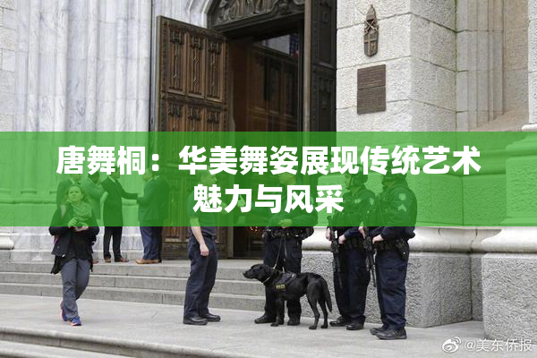唐舞桐：华美舞姿展现传统艺术魅力与风采