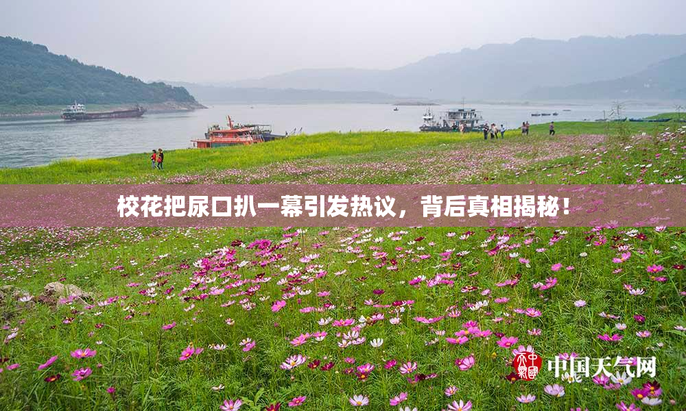 校花把尿口扒一幕引发热议，背后真相揭秘！