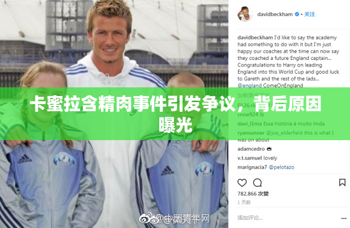 卡蜜拉含精肉事件引发争议，背后原因曝光