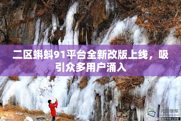 二区蝌蚪91平台全新改版上线，吸引众多用户涌入