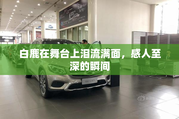 白鹿在舞台上泪流满面，感人至深的瞬间