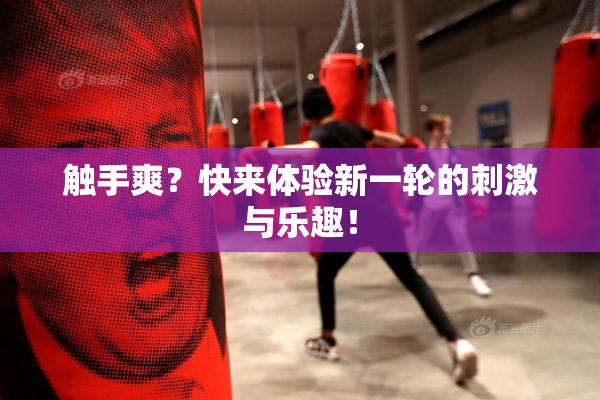 触手爽？快来体验新一轮的刺激与乐趣！