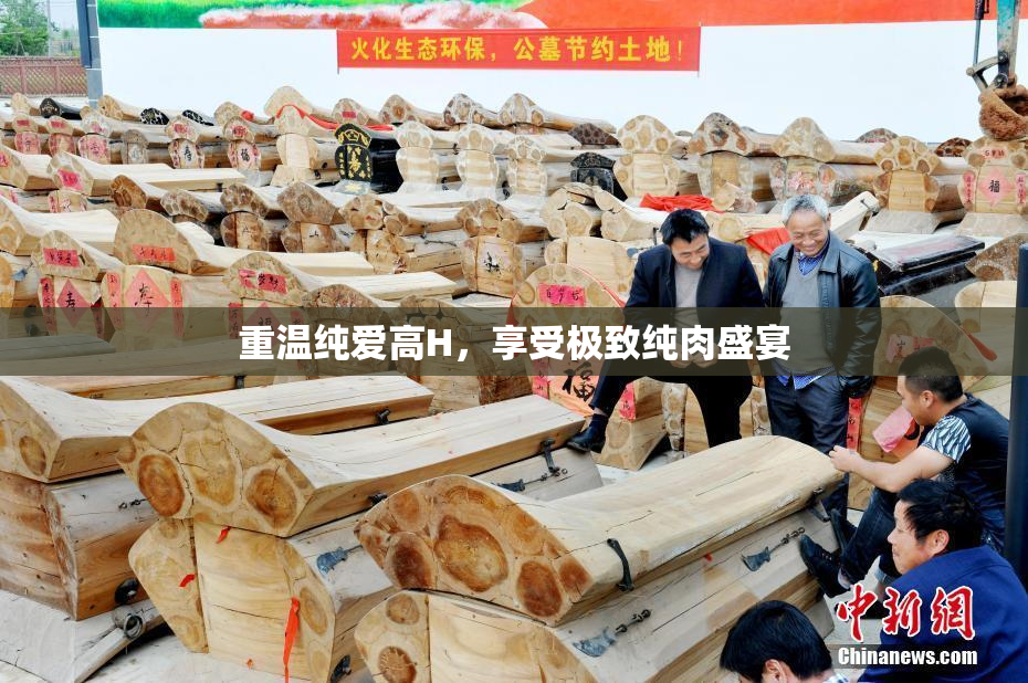 重温纯爱高H，享受极致纯肉盛宴