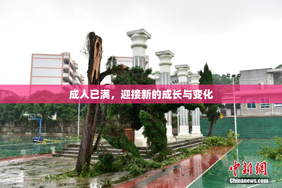 成人已满，迎接新的成长与变化