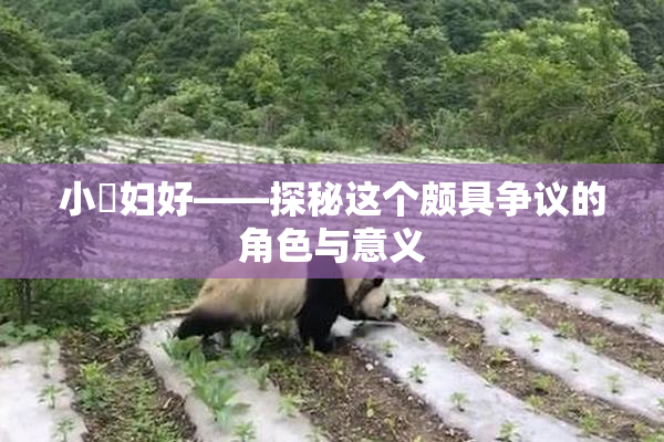 小婬妇好——探秘这个颇具争议的角色与意义