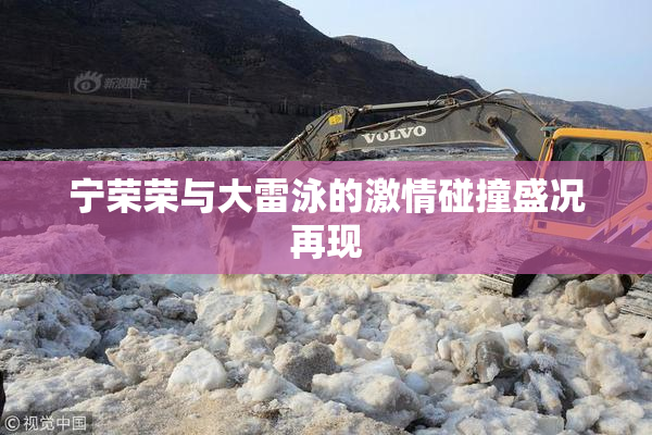 宁荣荣与大雷泳的激情碰撞盛况再现