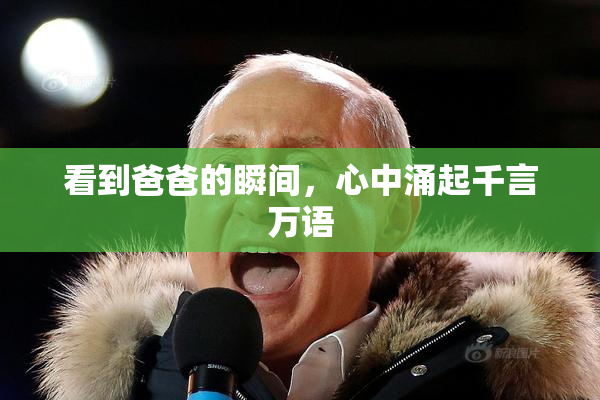 看到爸爸的瞬间，心中涌起千言万语