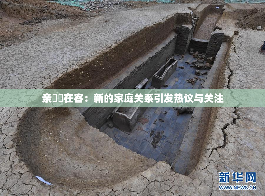 亲妺妺在客：新的家庭关系引发热议与关注