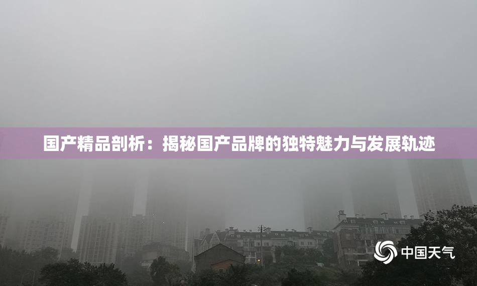 国产精品剖析：揭秘国产品牌的独特魅力与发展轨迹