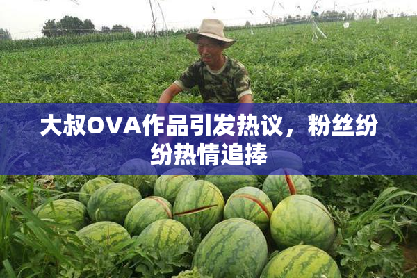大叔OVA作品引发热议，粉丝纷纷热情追捧