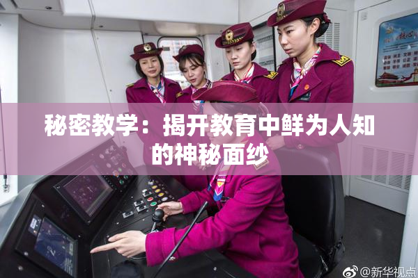 秘密教学：揭开教育中鲜为人知的神秘面纱