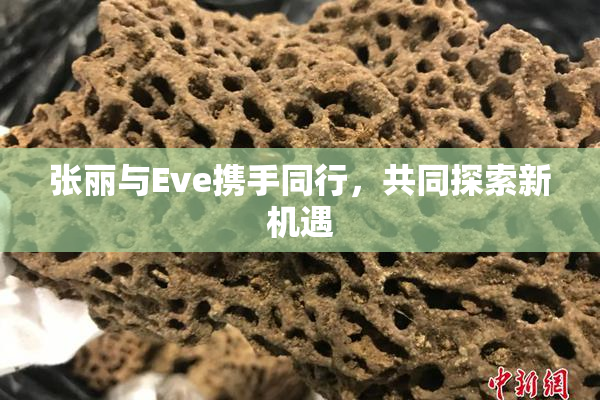 张丽与Eve携手同行，共同探索新机遇