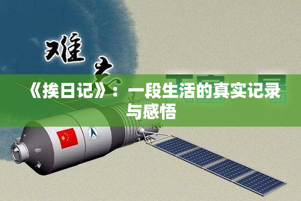 《挨日记》：一段生活的真实记录与感悟