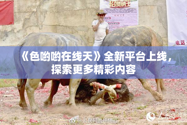《色哟哟在线天》全新平台上线，探索更多精彩内容