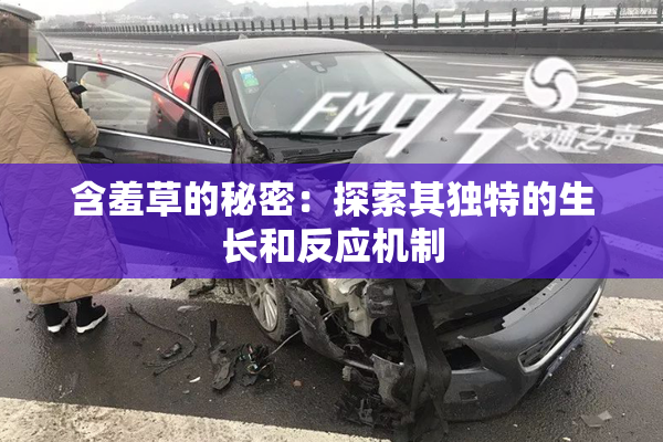 含羞草的秘密：探索其独特的生长和反应机制