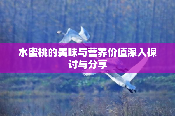 水蜜桃的美味与营养价值深入探讨与分享