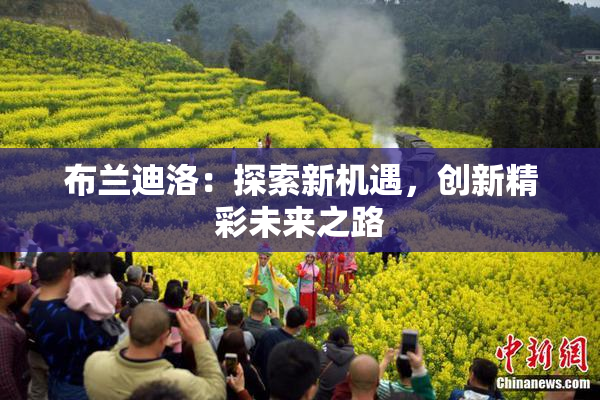 布兰迪洛：探索新机遇，创新精彩未来之路