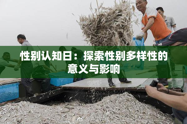 性别认知日：探索性别多样性的意义与影响