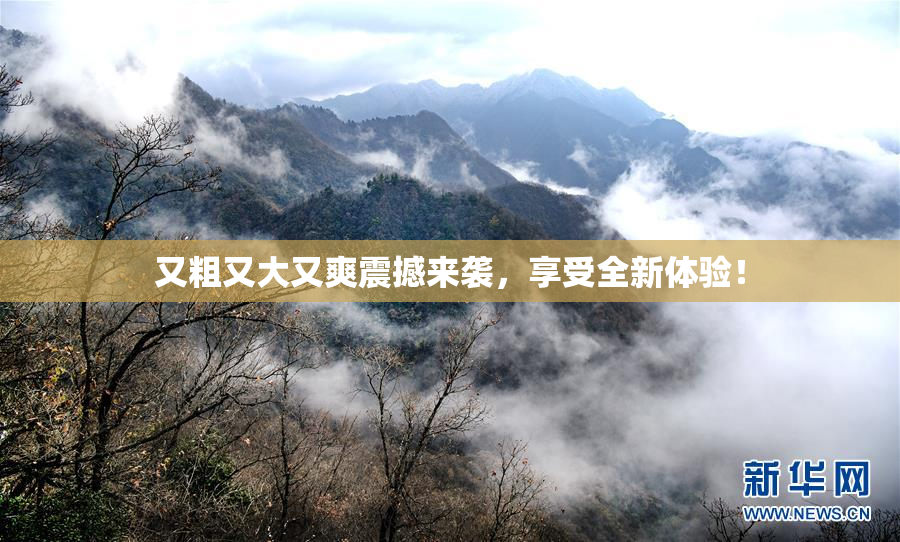 又粗又大又爽震撼来袭，享受全新体验！
