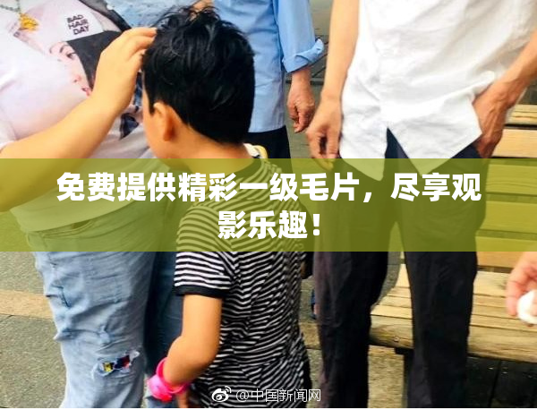 免费提供精彩一级毛片，尽享观影乐趣！