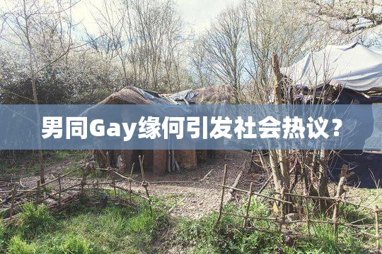 男同Gay缘何引发社会热议？