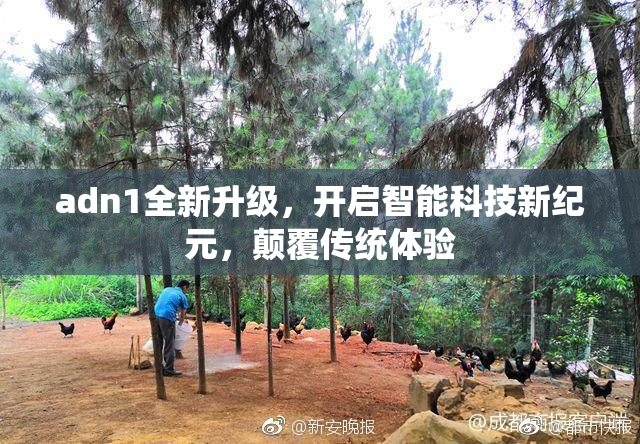 adn1全新升级，开启智能科技新纪元，颠覆传统体验