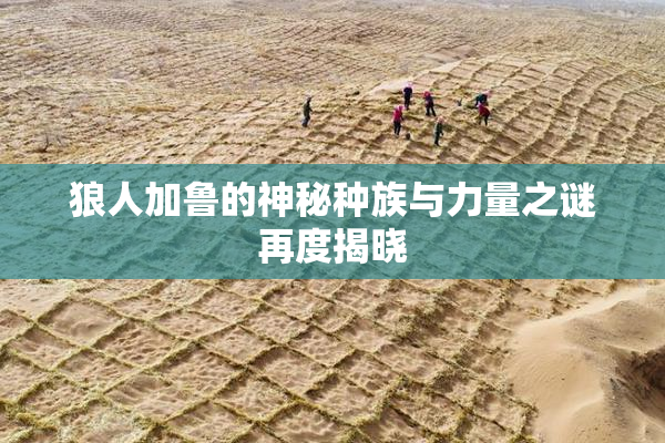 狼人加鲁的神秘种族与力量之谜再度揭晓