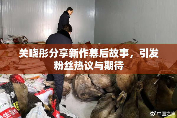 关晓彤分享新作幕后故事，引发粉丝热议与期待