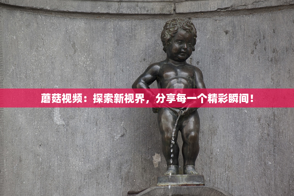 蘑菇视频：探索新视界，分享每一个精彩瞬间！