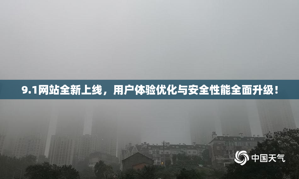 9.1网站全新上线，用户体验优化与安全性能全面升级！