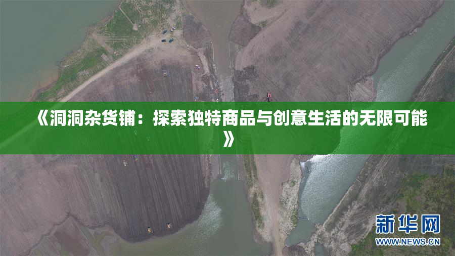 《洞洞杂货铺：探索独特商品与创意生活的无限可能》