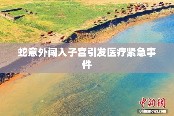 蛇意外闯入子宫引发医疗紧急事件