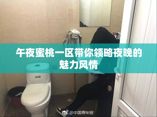午夜蜜桃一区带你领略夜晚的魅力风情