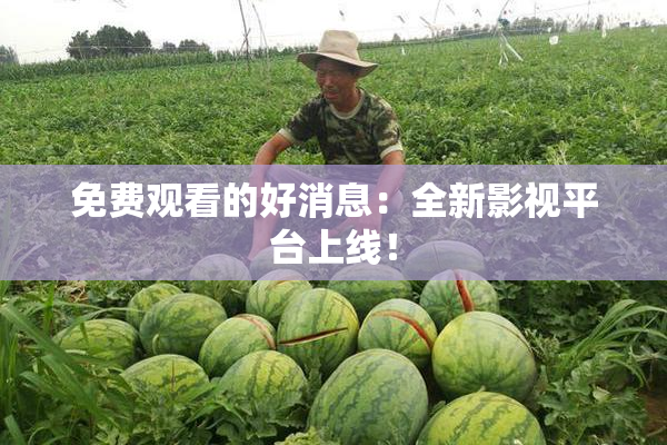 免费观看的好消息：全新影视平台上线！