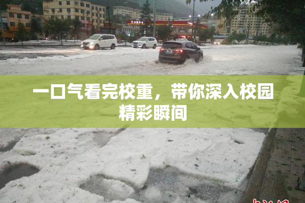 一口气看完校重，带你深入校园精彩瞬间