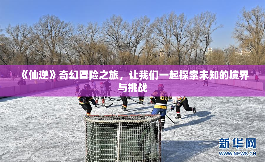 《仙逆》奇幻冒险之旅，让我们一起探索未知的境界与挑战
