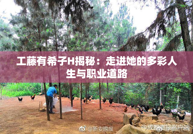工藤有希子H揭秘：走进她的多彩人生与职业道路