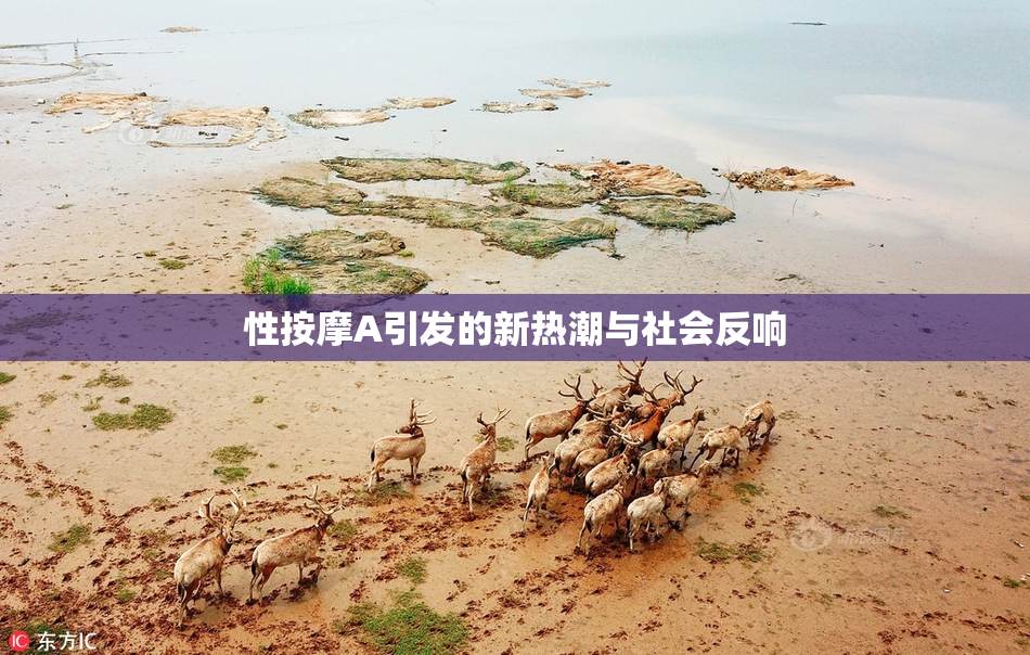 性按摩A引发的新热潮与社会反响
