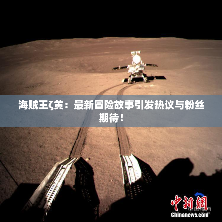 海贼王ζ黄：最新冒险故事引发热议与粉丝期待！