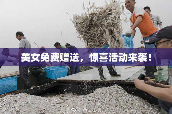 美女免费赠送，惊喜活动来袭！