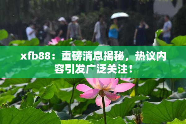 xfb88：重磅消息揭秘，热议内容引发广泛关注！
