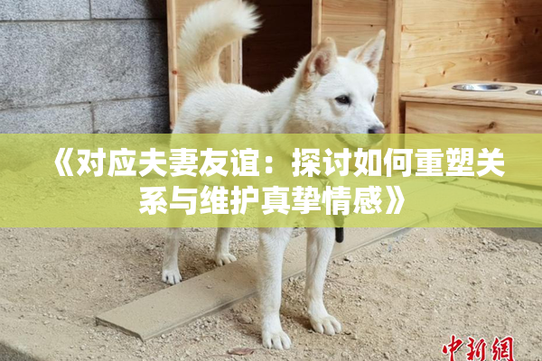 《对应夫妻友谊：探讨如何重塑关系与维护真挚情感》