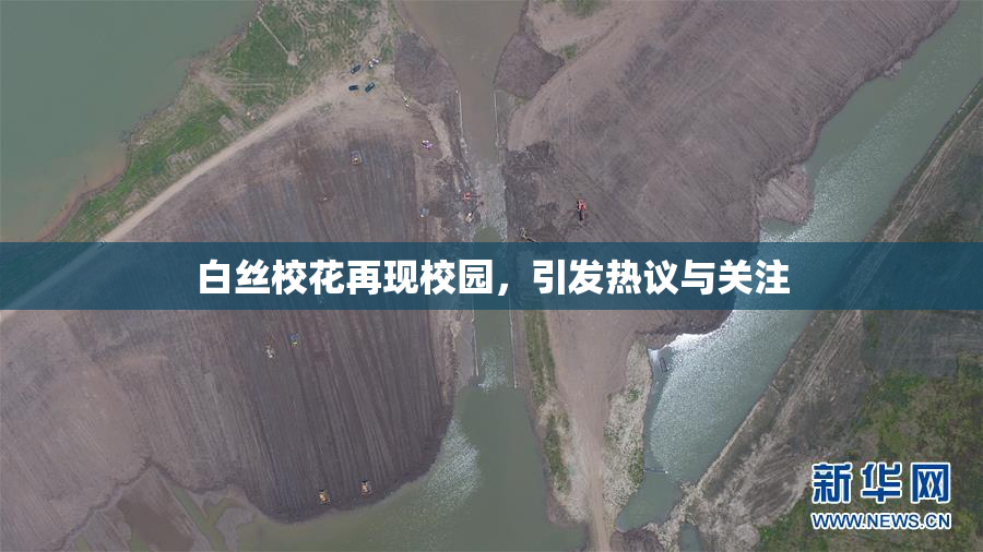 白丝校花再现校园，引发热议与关注
