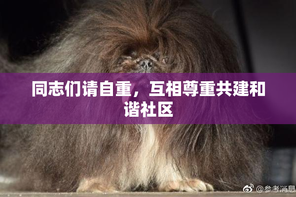 同志们请自重，互相尊重共建和谐社区