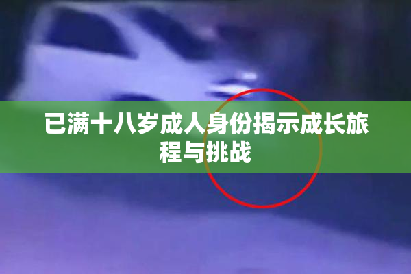 已满十八岁成人身份揭示成长旅程与挑战