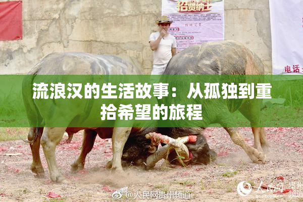 流浪汉的生活故事：从孤独到重拾希望的旅程