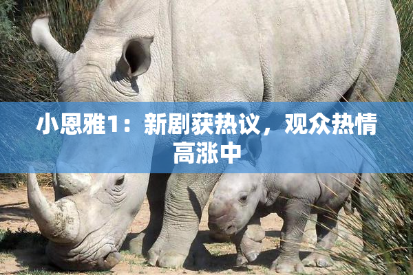 小恩雅1：新剧获热议，观众热情高涨中