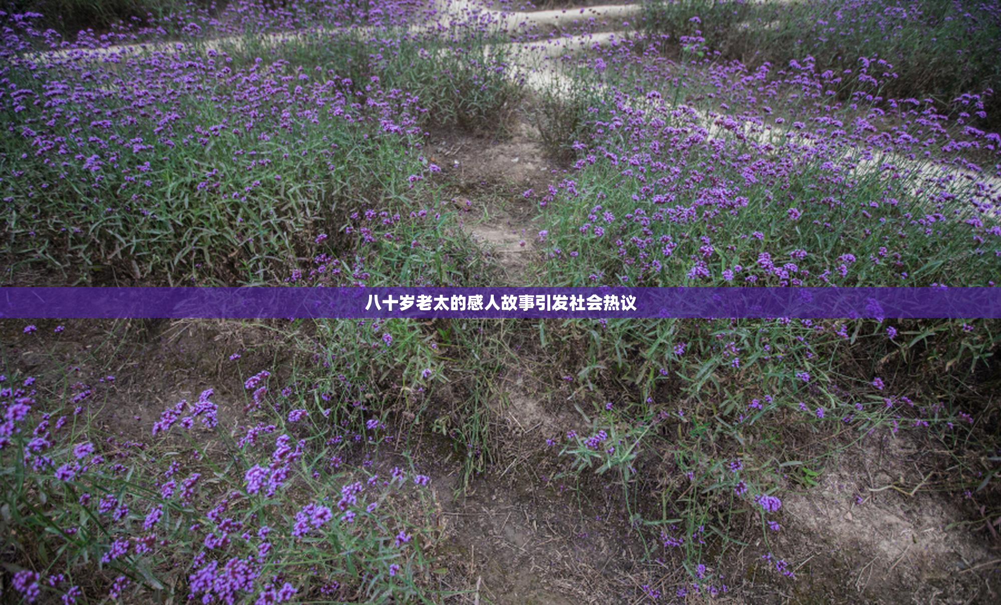 八十岁老太的感人故事引发社会热议