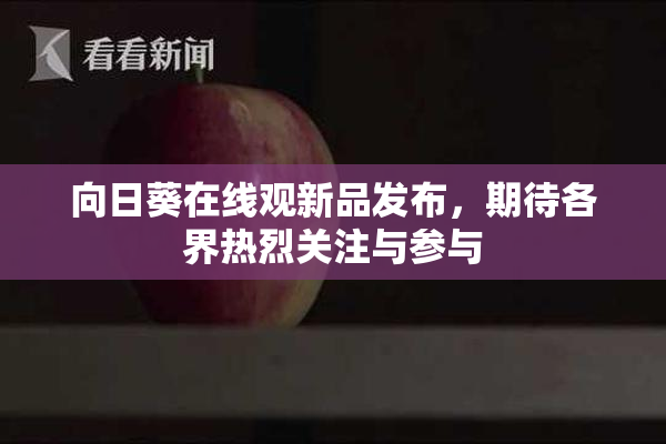 向日葵在线观新品发布，期待各界热烈关注与参与
